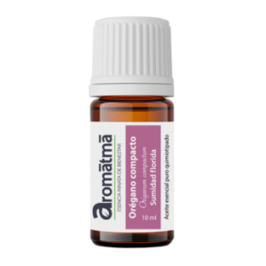 Oregano (Origanum compactum)